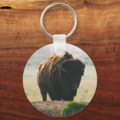 Porte-clés La Collection Buffalo II (Recto)