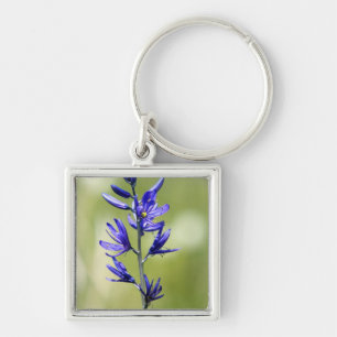 Porte-clés La fleur d'un lis camas dans le comté de Valley,
