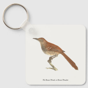 Porte-clés La Grive Brown ou le Trasher Brown, New York Birds