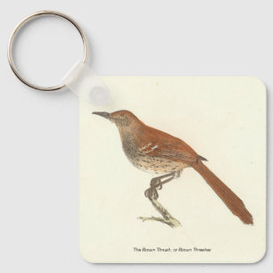 Porte-clés La Grive Brown ou le Trasher Brown, New York Birds