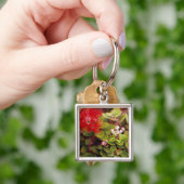Porte-clés La Lehua S'Éclate Dans Les Volcans D'Hawaï (main)