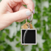 Porte-clés La lune de Saturne Tethys (main)