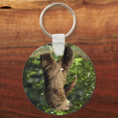 Porte-clés La paresse à deux doigts de Hoffmann (Recto)