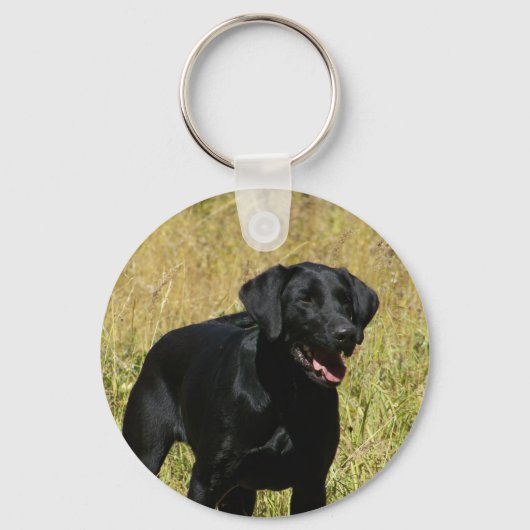 Porte-clés Laboratoire noir dans le Porte - clé de champ (Recto)