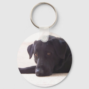 Porte-clés labrador
