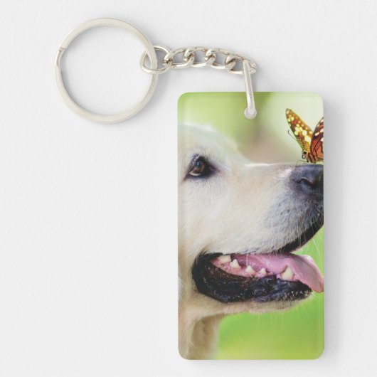 Porte-clés Labrador And Butterfly Throw Pillow (Devant)