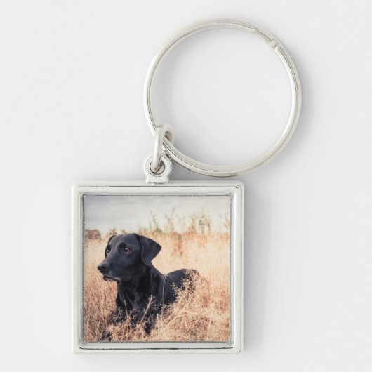 Porte-clés Labrador Noir En Graine Sèche (Devant)