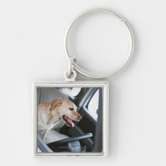 Porte-clés Labrador retriever (Devant)