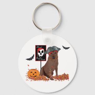 Porte-clés Labrador Retriever au Chocolat Halloween