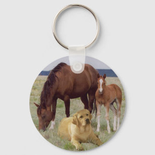 Porte-clés Labrador retriever avec le porte - clé de chevaux