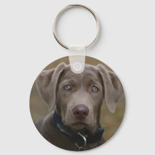 Porte-clés Labrador Retriever En Argent Clair Rare