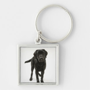 Porte-clés Labrador retriever noir