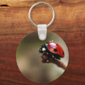 PORTE-CLÉS LABYBIRD (Recto)