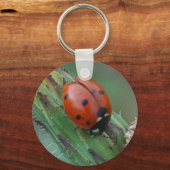 Porte-clés Lady Bug (Recto)