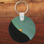 Porte-clés Ladybird (Verso)