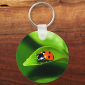 Porte-clés Ladybug (Recto)