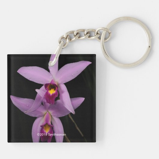 Porte-clés Laelia Anceps (Dos)