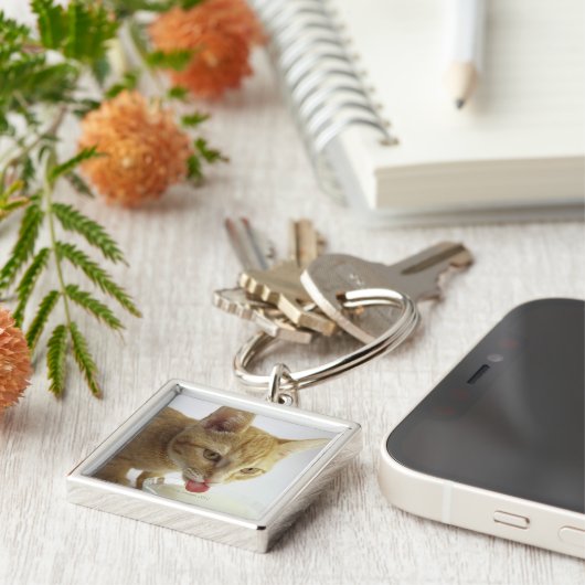 Porte-clés Lait boisson de chat (Côté)