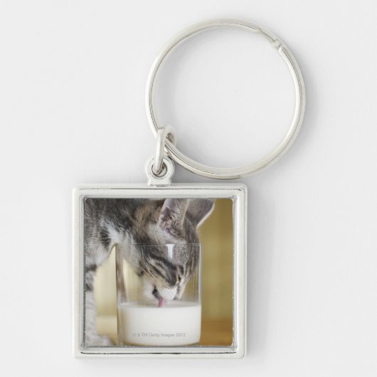 Porte-clés Lait boisson de chaton de verre (Devant)