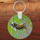 Porte-clés Lait Tussock Moth Caterpillar Items (Recto)