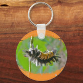 Porte-clés Lait Tussock Moth Caterpillar Orange Items (Recto)