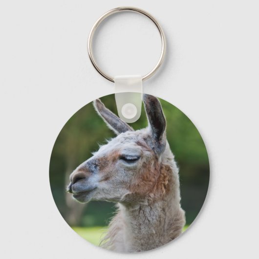Porte-clés lama (Recto)