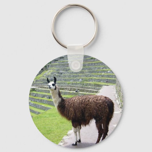 Porte-clés lama regarde (Recto)