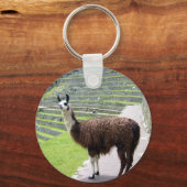 Porte-clés lama regarde (Recto)