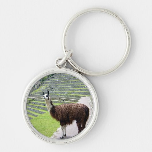 Porte-clés lama regarde (Devant)