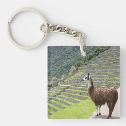 Porte-clés lamas (Devant)