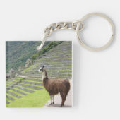 Porte-clés lamas (Dos)