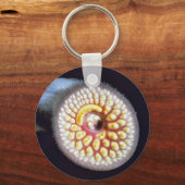 Porte-clés Lamproie marine (Recto)