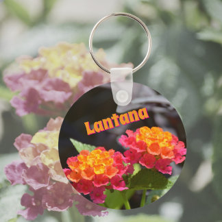Porte-clés Lantana Fleurs Botaniques Colorées Lumineuses