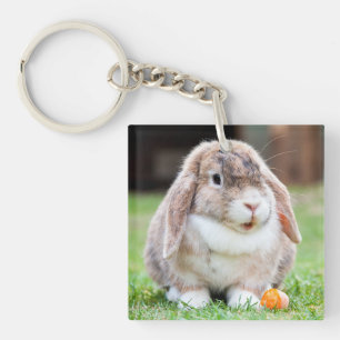 Porte-clés lapin à oreilles de lop mignon