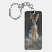 Porte-clés Lapin à queue noire, Lepus californicus, 2 (Devant gauche)