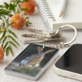 Porte-clés Lapin à queue noire, Lepus californicus, 2 (Devant droit)