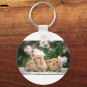 Porte-clés lapin aimant (Recto)