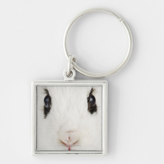 Porte-clés Lapin anglais (cuniculus d'Oryctolagus) (Devant)