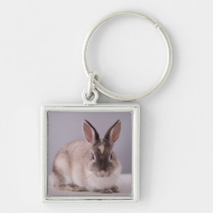 Porte-clés lapin, arrière - plan simple, animal, table