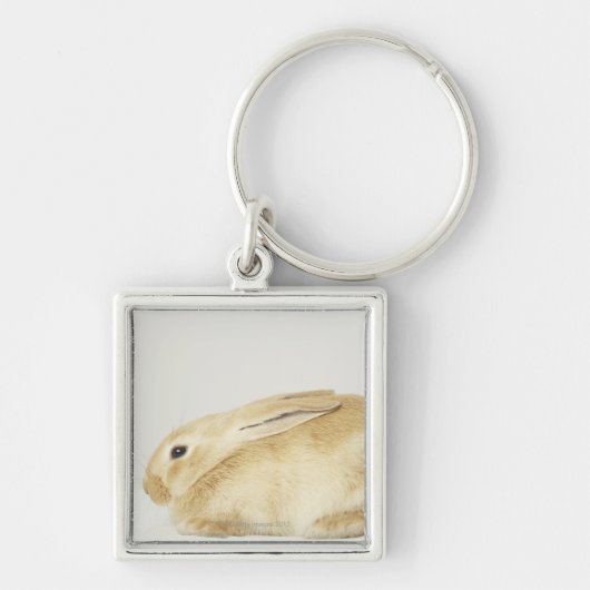 Porte-clés Lapin beige sur l'arrière - plan blanc 4 (Devant)