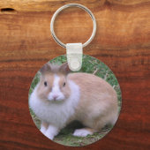 Porte-clés lapin doux (Recto)