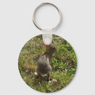 Porte-clés Lapin Lapin Lièvre Stups