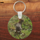 Porte-clés Lapin Lapin Lièvre Stups (Recto)