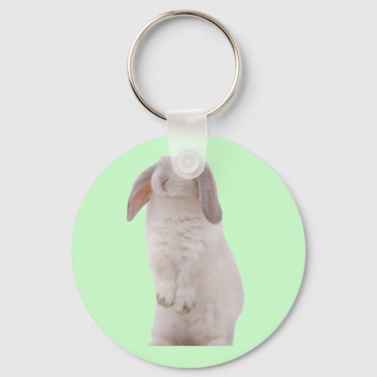 Porte-clés Lapin Mignon Kawaii (Recto)
