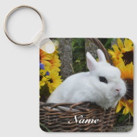 Lapin nain Hotot lapin avec des tournesols