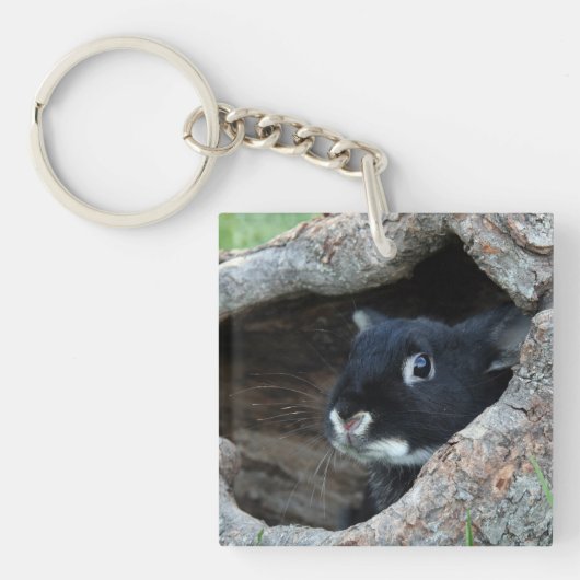 Porte-clés Lapin noir en creux d'un arbre photo (Devant)