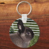 Porte-clés Lapin noir mignon sur herbe verte (Recto)