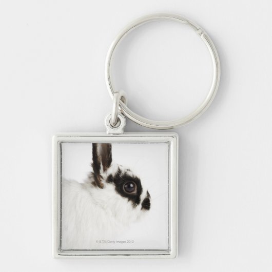Porte-clés Lapin Wooly du Jersey (Devant)
