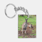 Porte-clés L'Australien Buck Kangaroo (Devant gauche)