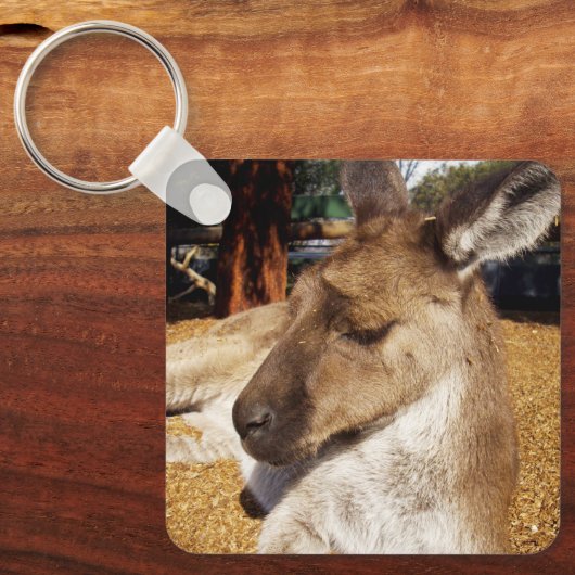 Porte-clés Lazing Kangaroo Close Up, Clavier (Recto)
